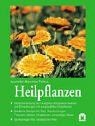 Heilpflanzen von pahlow - heilpflanzen,
