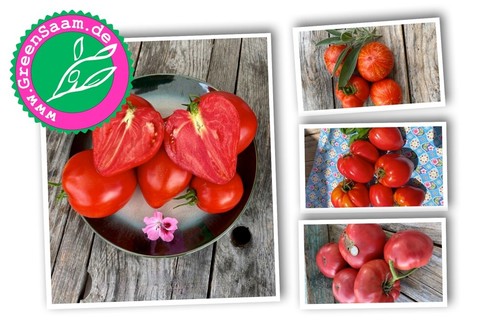 Tomatensamen roter - tomatensamen, 🍅
