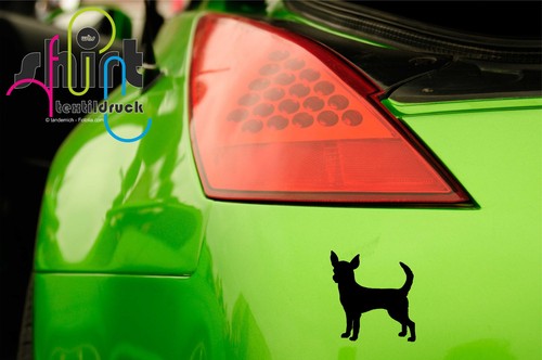 277 chihuahua hund hunde - 277,