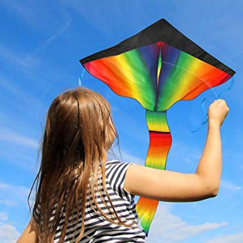 Regenbogen lenkdrachen - regenbogen,