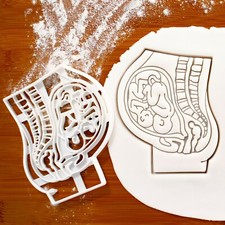 Zwillinge Schwangere