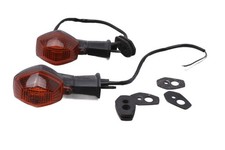 Blinkerpaar hinten