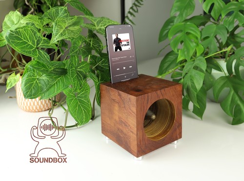 Akustik box natürliche - box, –natürliche
