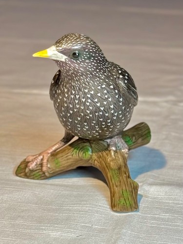 Star von goebel - von,