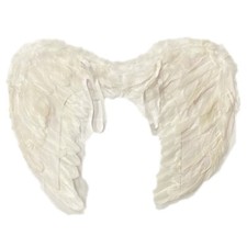 Weiße Feder große Flügel