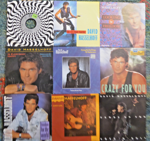 David hasselhoff sammlung - hasselhoff,