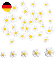 100 Stück Gänseblümchen