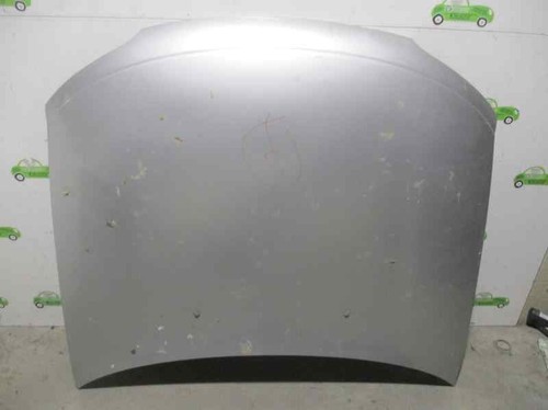 1160244 motorhaube gris - motorhaube,