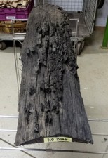 Mooreiche,Moorholz,massiv,Plat