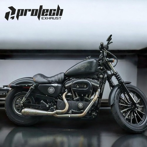 Auspuff harley davidson - 2-1,