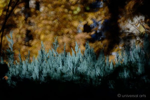 Mario strack photograph 1 - -,
