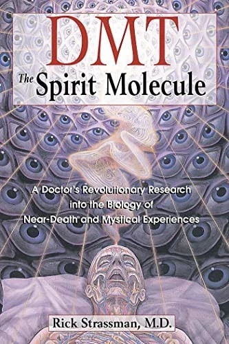 Dmt the spirit - the, a