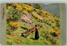 39930010 - sign. Liebich, Curt