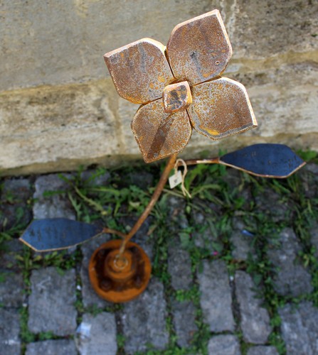 Alexander fabi blume - blume, ii