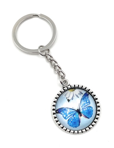 Butterfly flying blue circle - butterfly,