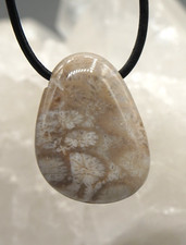 VERSTEINERTE KORALLE kleiner