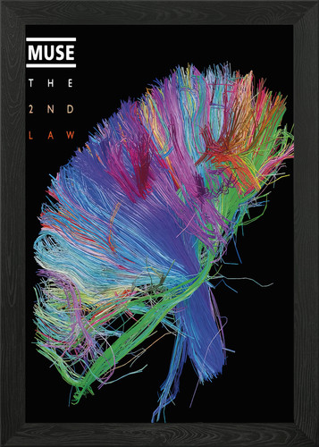 Muse das gesetz - muse,