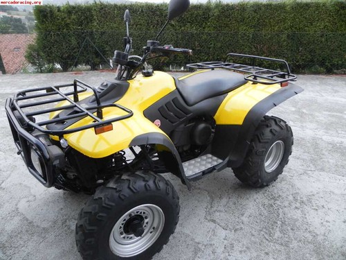 Linhai 260 werkstatthandbuch - 260,