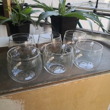 6 Teegläser Jenaer Glas Vintage Midcentury 50er 60er Stil