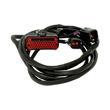 Namz, Lautsprecherkabelbaum