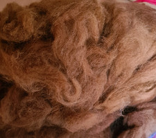 1000 gr. Alpaka-Rohwolle hellbraun, Alpakawolle,Wolle,