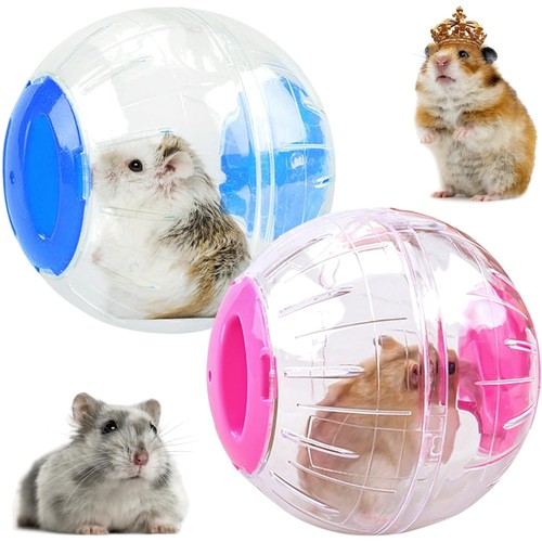 Stück hamsterball hamster - stück,
