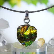 Ammolith Anhänger Extra