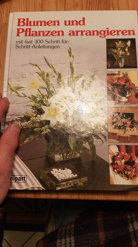 Blumen und pflanzen - blumen,