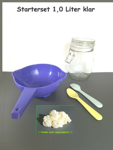 Milch kefir pilz starter set - starter,