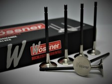 Wossner Für Renault Clio F4R