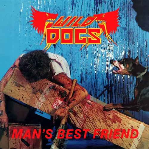Wild dogs mans - dogs, friend