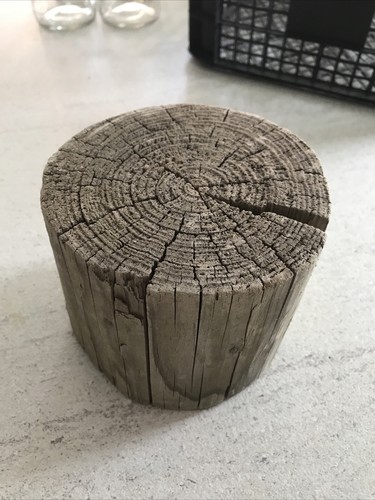 Treibholz holz baumstamm - treibholz,