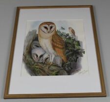 A5/ ältere Grafik - Eule Schleiereule im Holzrahmen - effraie des clochers /S361