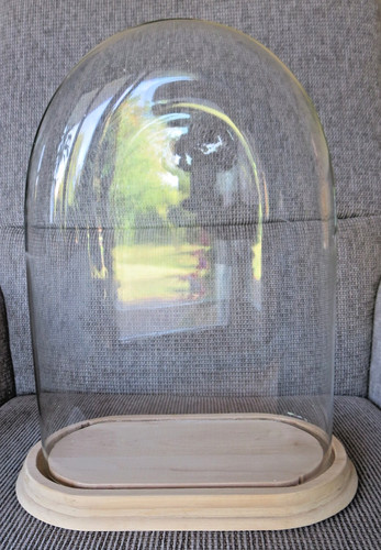 Antiker glassturz glasdom - glassturz,