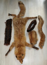 Fuchsfell Fuchspelz Rotfuchs 110 cm Stirnband Schwanz - Kürschnermeister LAPS