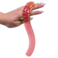 Kögler Squeeze Wurm Spielzeug