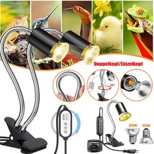 Schildkröten Wärmelampe