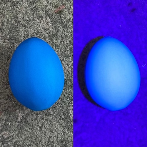 Lockei köderei blau - köderei,
