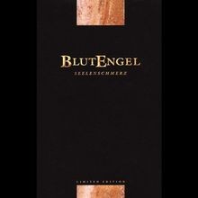 Seelenschmerz/Ltd.Box von