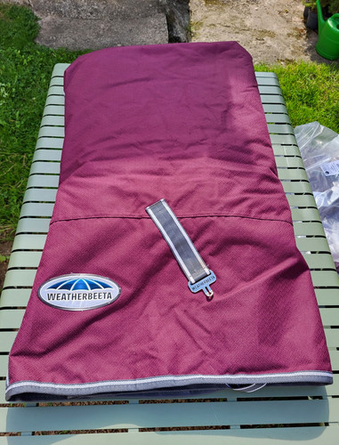 WeatherBeetaComFiTecPlus