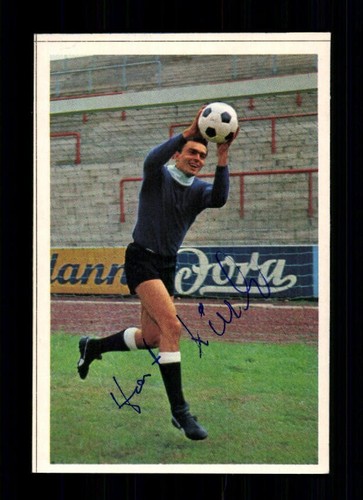 Horst kirsch borussia - horst,