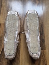 Spitzenschuhe/Pointe Shoes