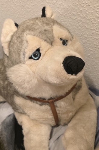 Plüschtier husky trudi - plüschtier,