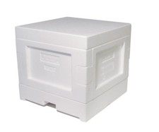 Mini Plus Beute OHNE Rahmen