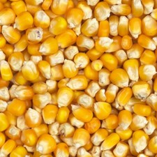 Eurital yellow crisp mais kg - crisp, 5