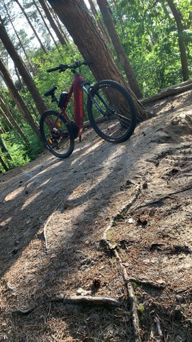 Fischer mtb zoll cm - fischer,