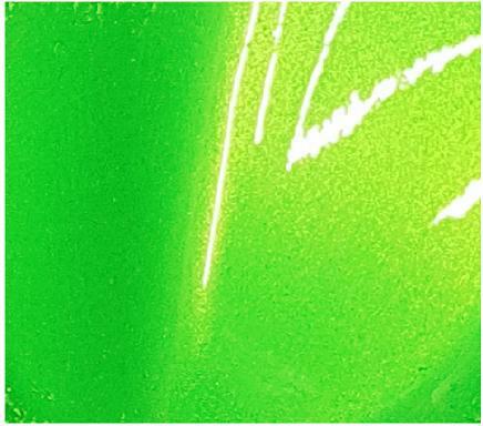 Candy lime green 400ml - candy,