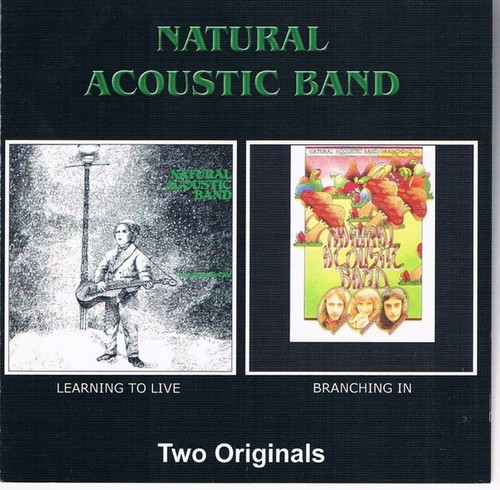 Natural acoustic band - natural,