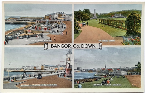 Bangor down vintage - down,
