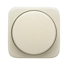 Busch-Jaeger Zentralscheibe ws